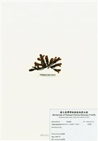 藏品(旋葉藻)的圖片